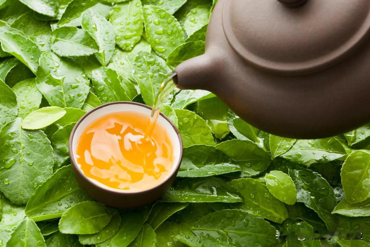 很多人都有品茶的习惯，但一般隔夜的茶，都会被倒掉，为什么隔夜茶不能喝呢？

一般