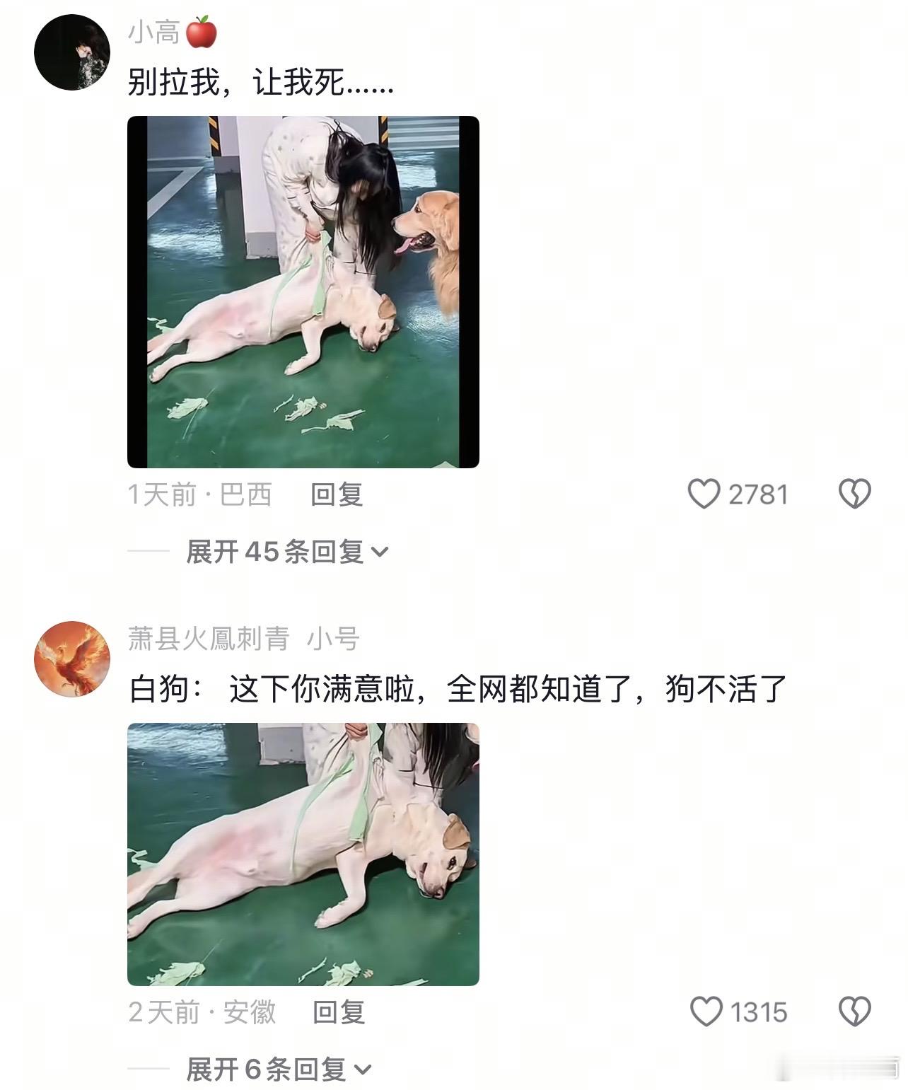 🐶：我不活了
