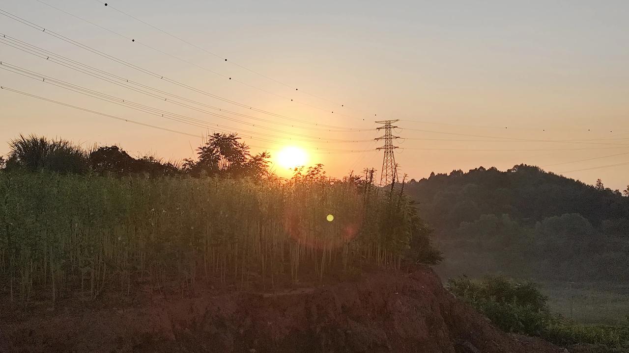 晒图笔记大赛野外拾趣～早晨的田间地头走一走看看风景！分享一张自然风景的照片，