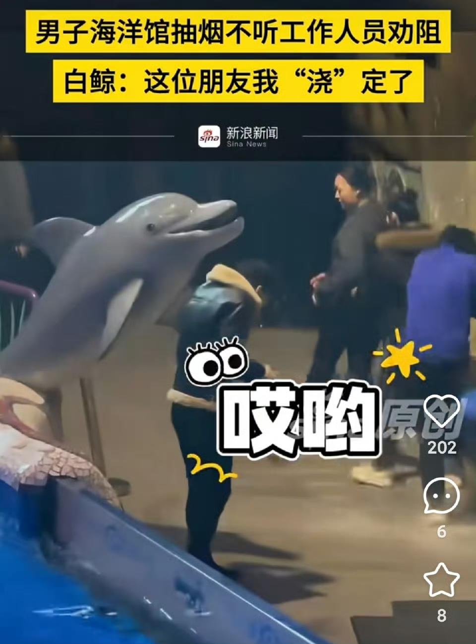 男子海洋馆内抽烟且不听工作人员劝阻，白鲸直接从背后浇了个透
辽宁大连某海洋馆里，