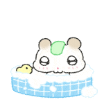 谁还敢给烤蹄子空瓶 