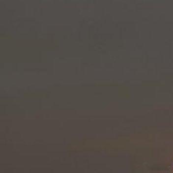 今天的努力会在未来开花，你只需要耐心等待。现在，好好休息。晚安，好梦。 