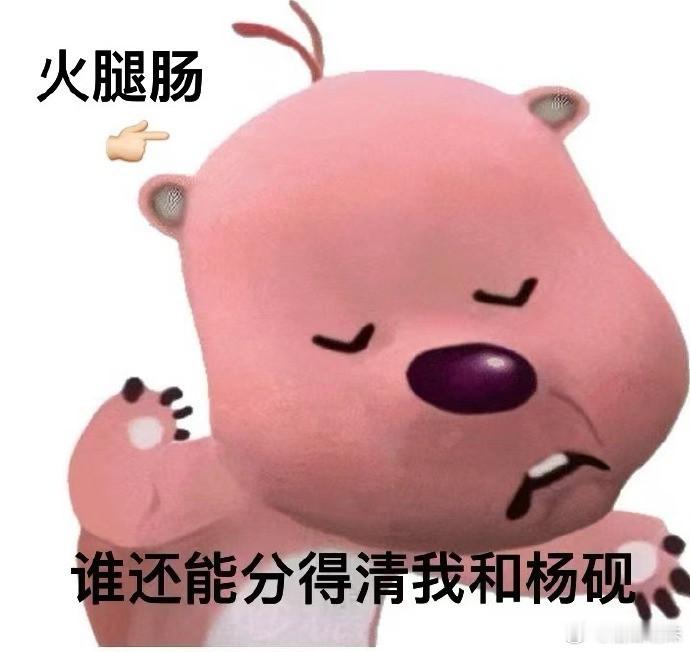 杨砚，真是个隐藏的宝藏，既能打斗也能让人捧腹大笑！今晚我准备去超市买两根带回家。