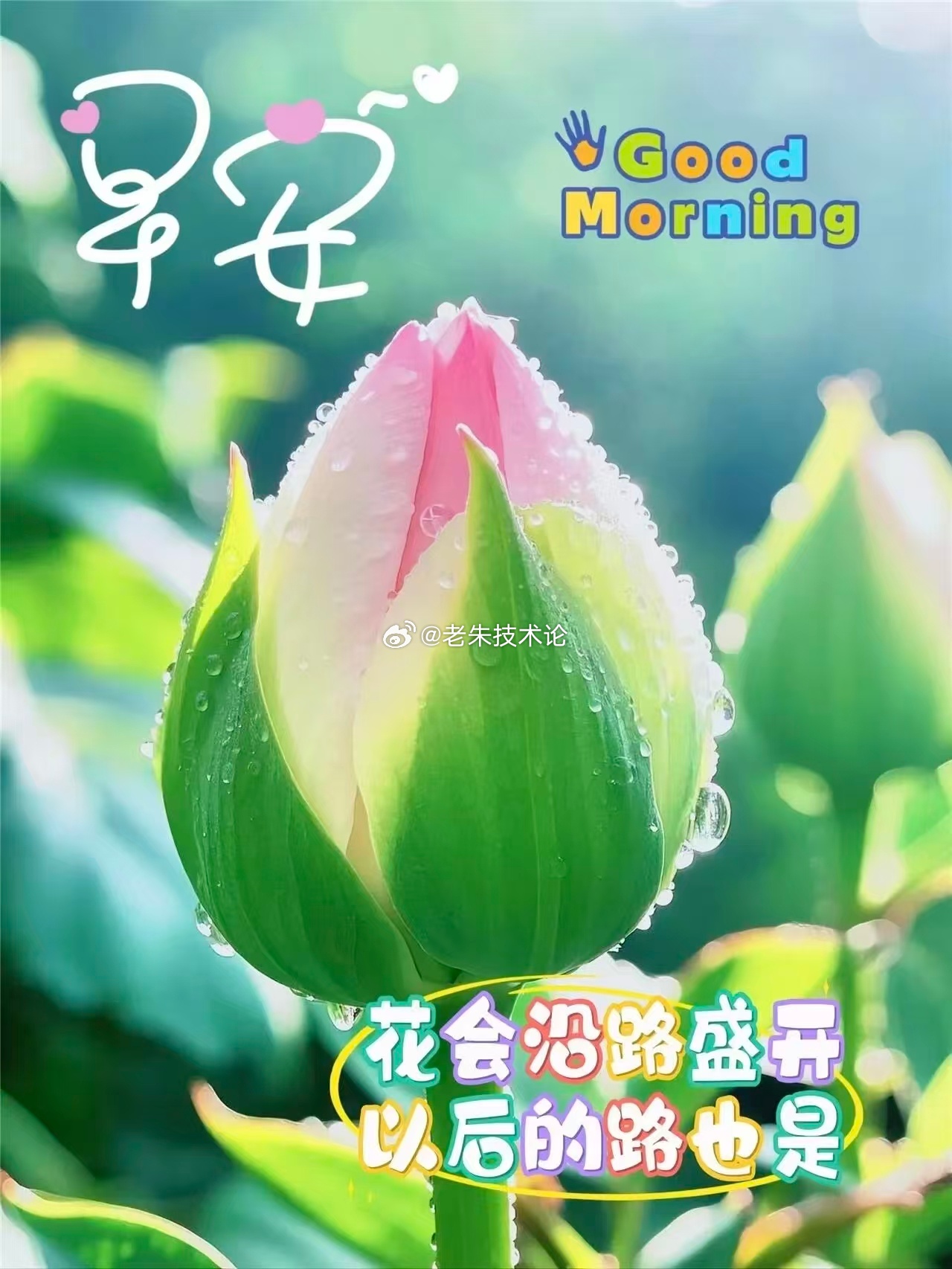 【周一，早安】平凡的日子，也值得用心对待。 好好生活，好好努力，保持善良与热爱，