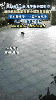 “万物皆有灵！”四川资阳一男子翻老家监控，意外看到消失1年的小猫回来了——它对着