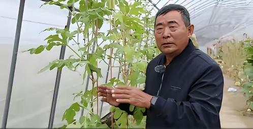 一位没上过大学，连高中都没毕业的黑龙江农民，拒绝300万美元的挖角，攻克了让美国