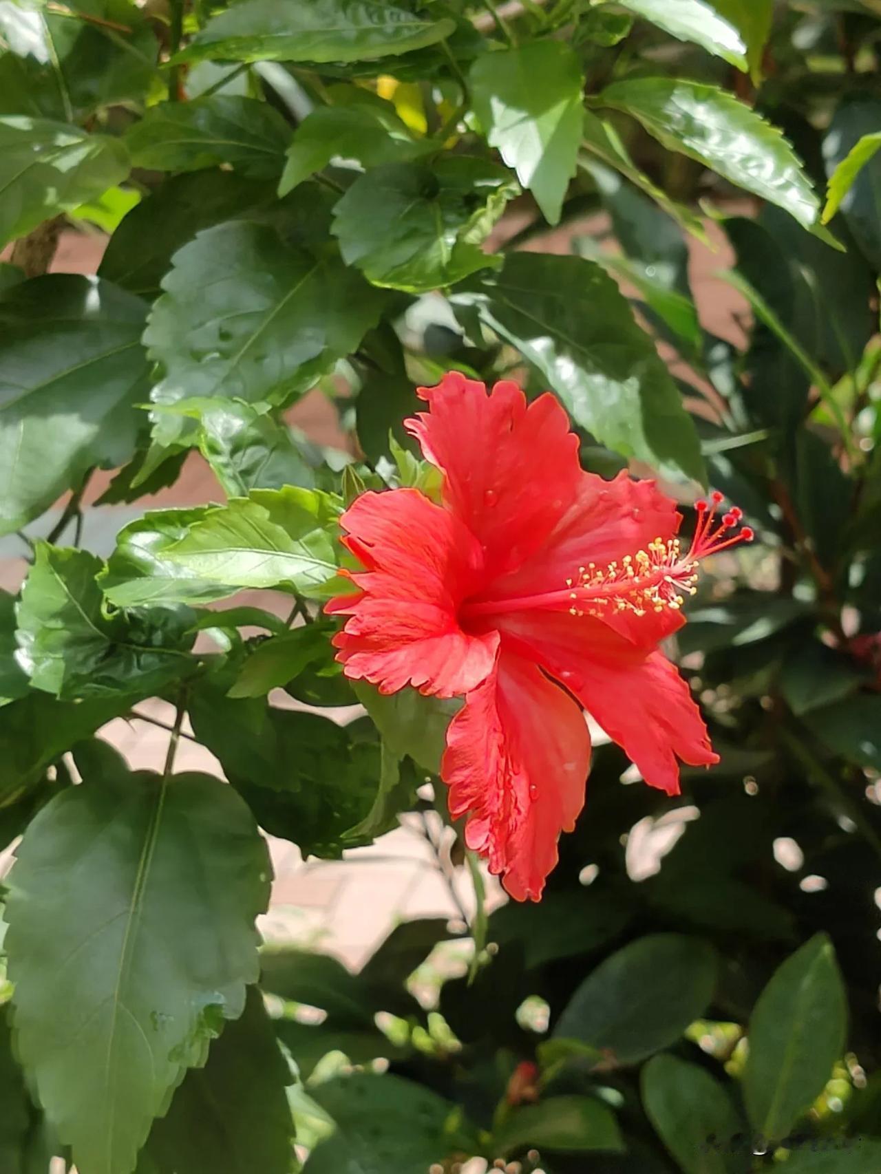 “在娘家住一个月，很开心，那是因为你有钱，试试你没钱看能开心不。”
这话说得很搞