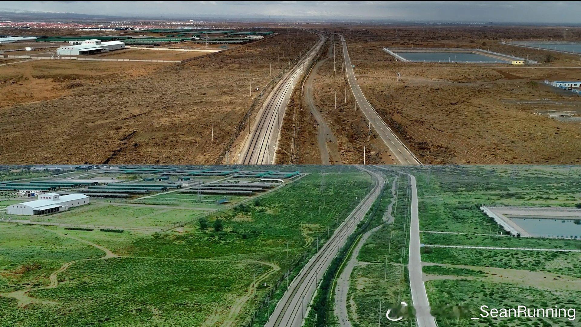 在中国 为中国 值国际生物多样性日之际，绿带行动 大众中国公益林项目完成在宁夏地
