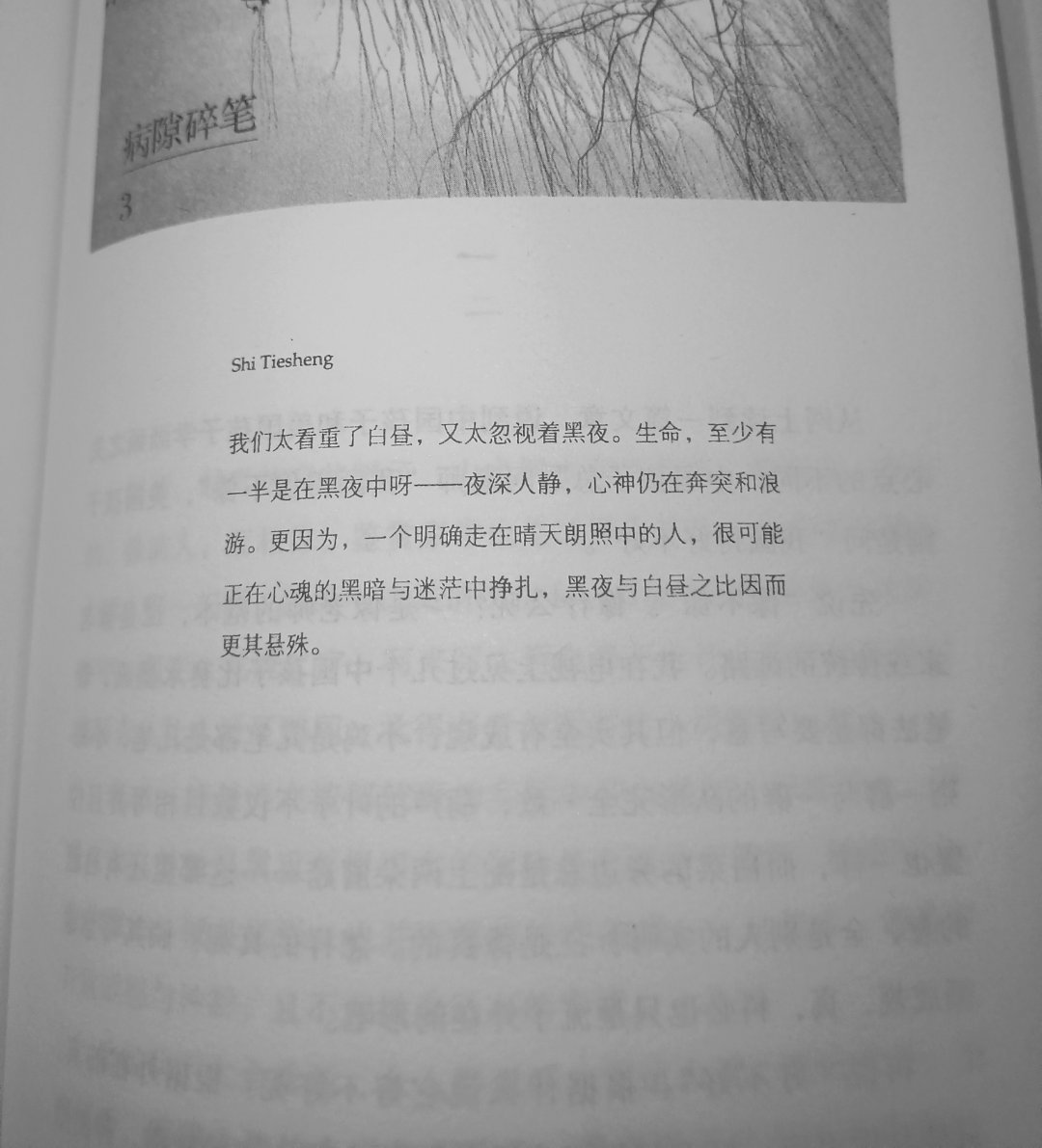 好会写 