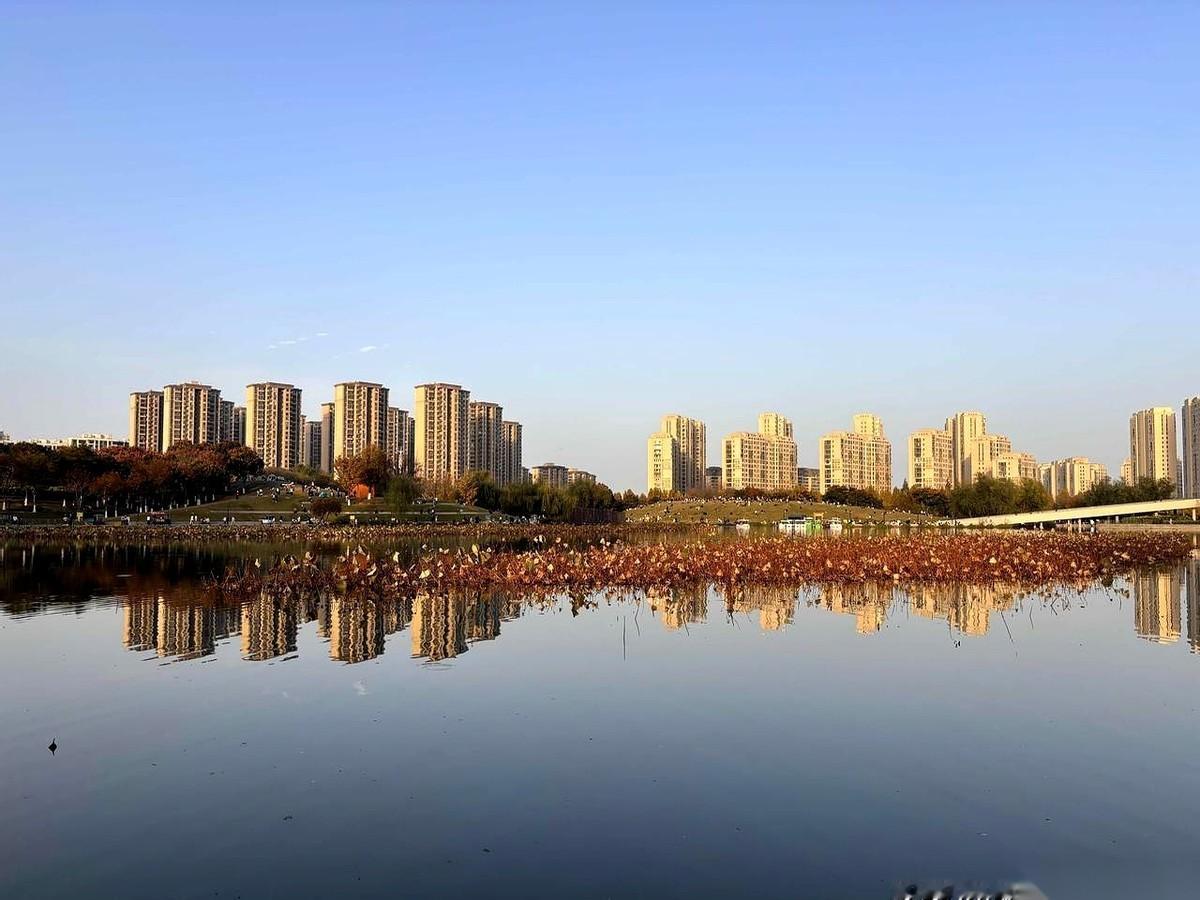 求求你们了，都卷起来，都走出舒适圈。
好让我进去躺会儿。
真的，累了。以前人家说