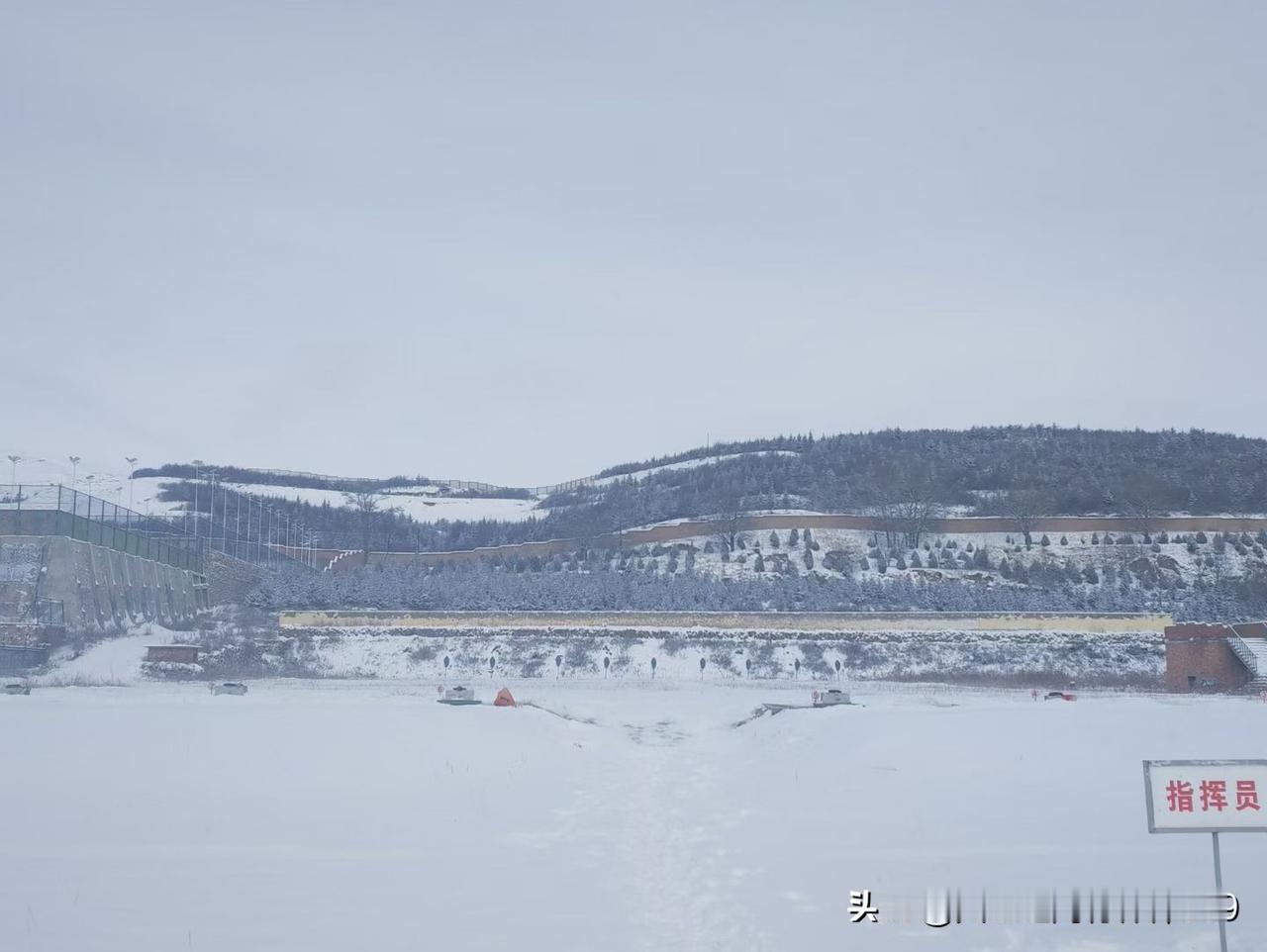 推窗时，才发现下雪了。

没有声音。满世界的白，静静地落，静静地白。远处的屋檐、