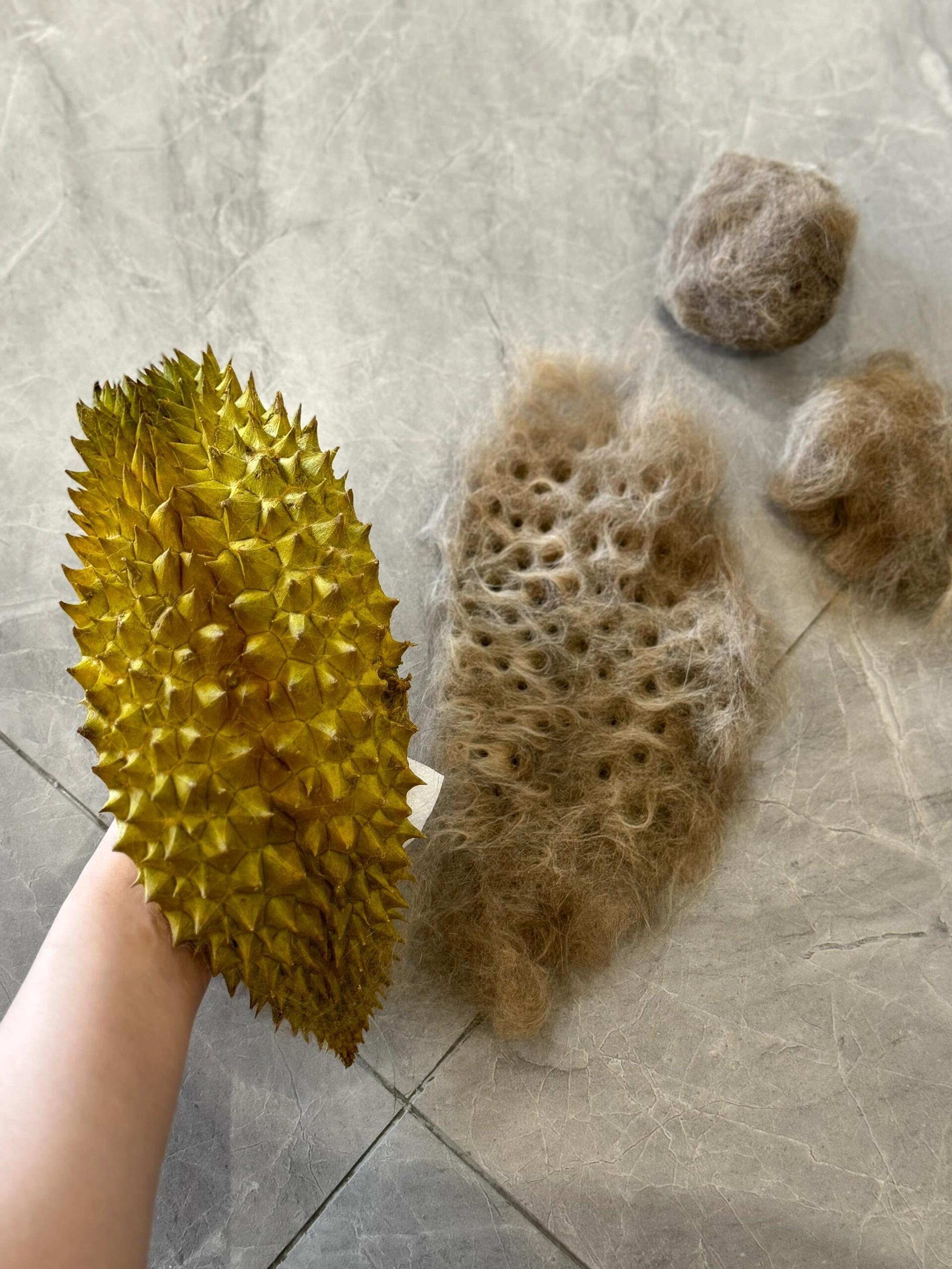吃完的榴莲壳不要扔，梳猫毛一绝！ 