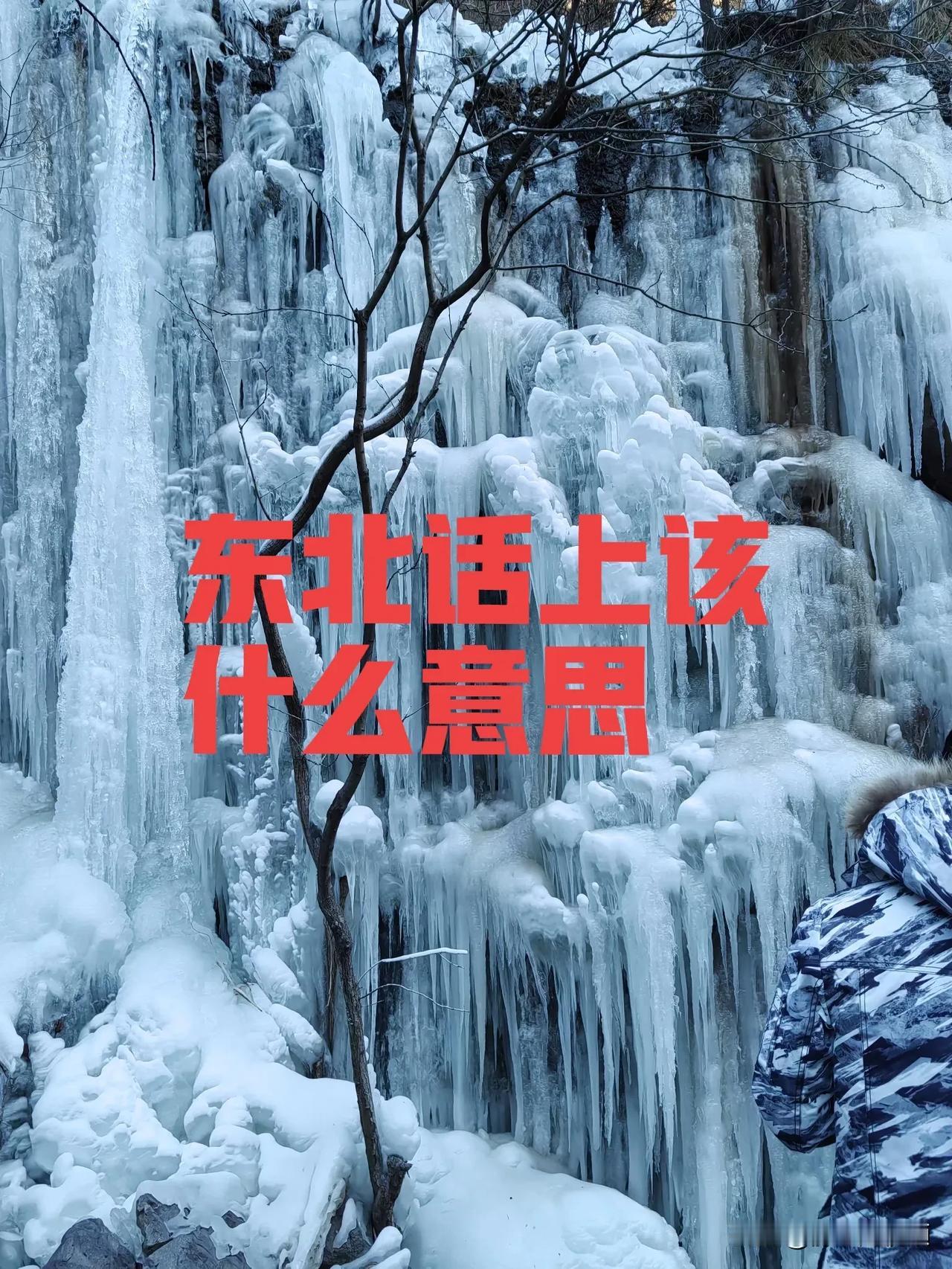 东北话“上该”是什么意思？前几天单位来了一个新同事，老家东北的，说话直，每天逗我