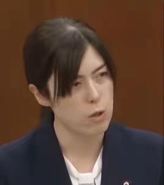 日本高官因不当言论，
被调查所言并不属实后，
道歉并撤回错误言论……

11月3