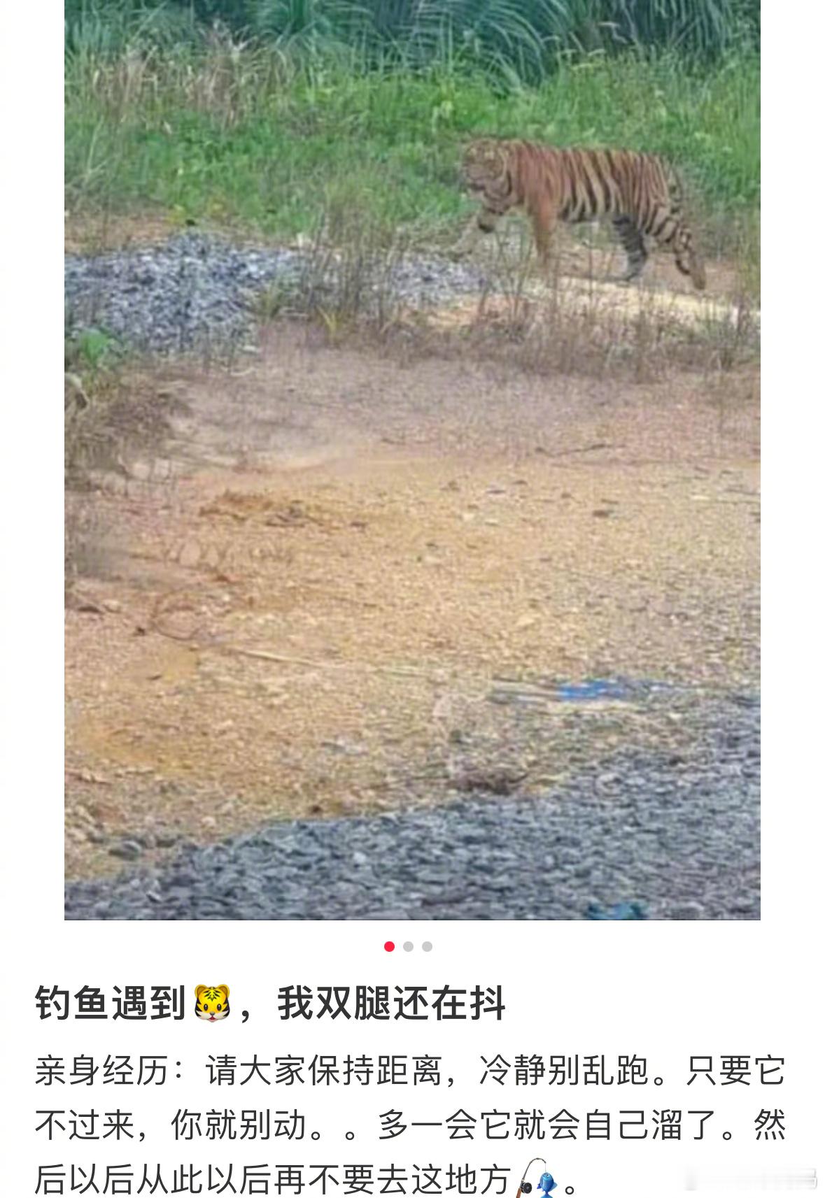 猪：这也有我事？？ ​​​