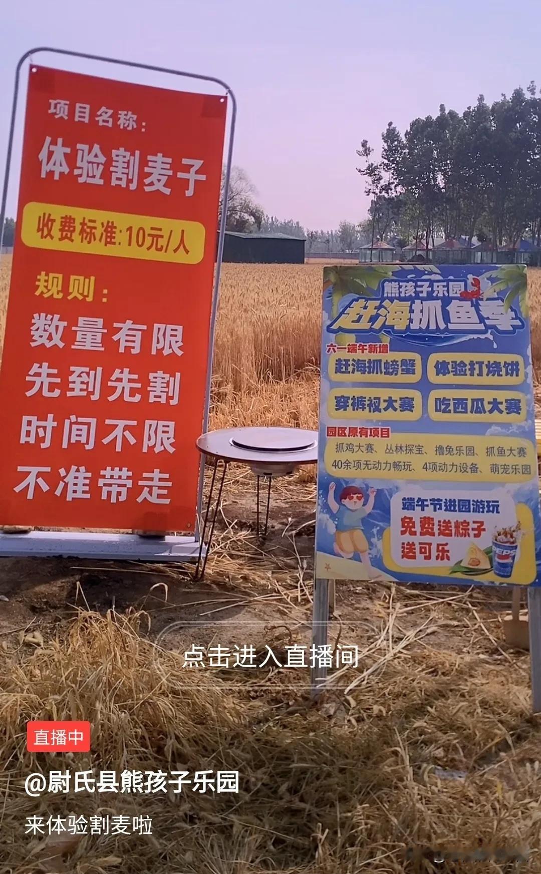 能想出花钱体验割麦子这个项目的人真是个人才，估计也是个逗比。相当于不仅雇了个免费