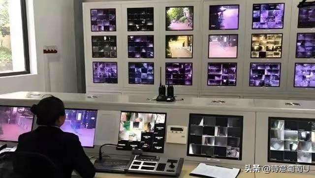 打包婚宴上没吃完的鱼，回家竟摸出一把金梳子！这笔意外的财物，到底该不该放进自己口