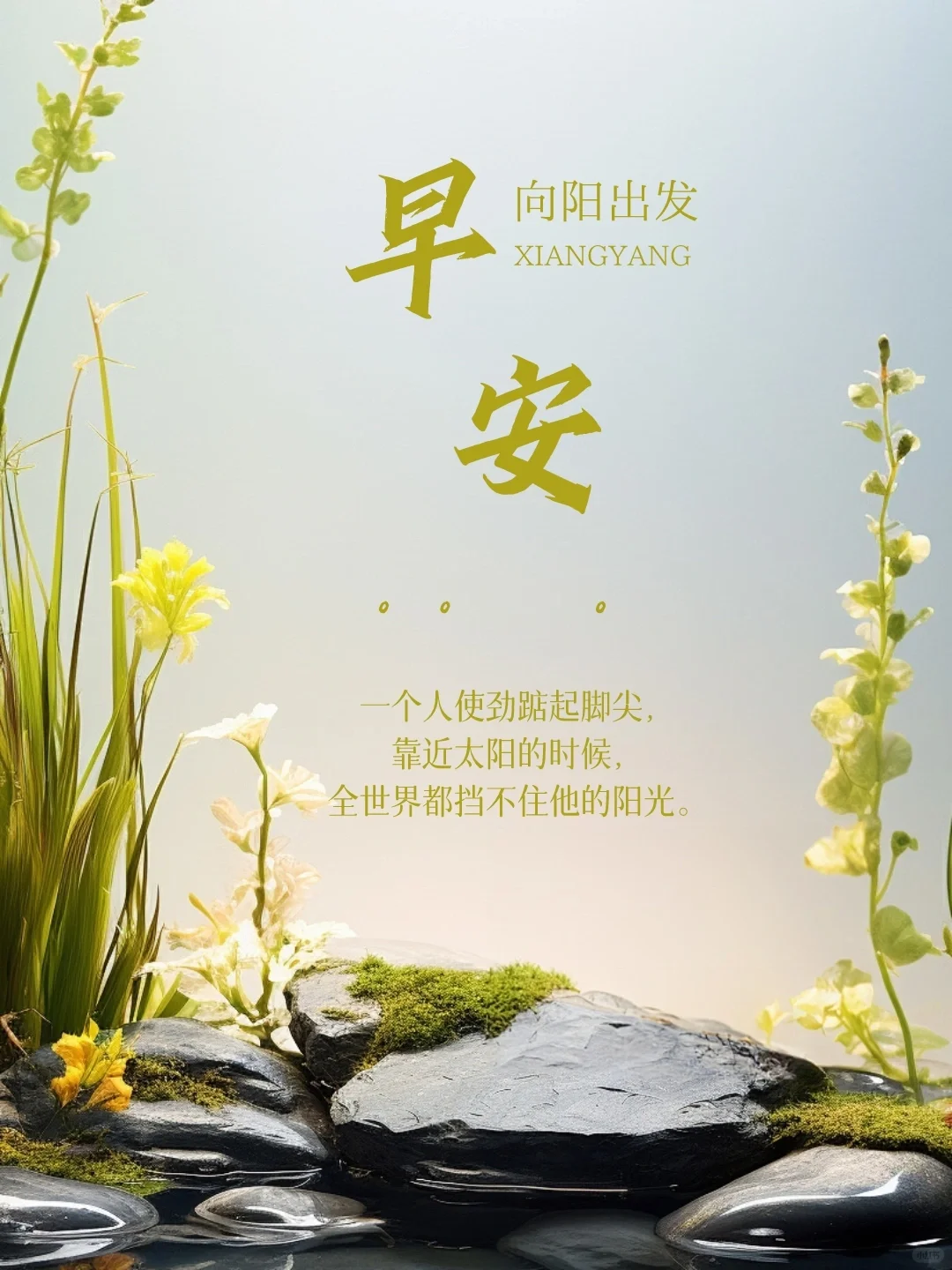 早安，向阳出发｜早安语录，越努力越幸运！