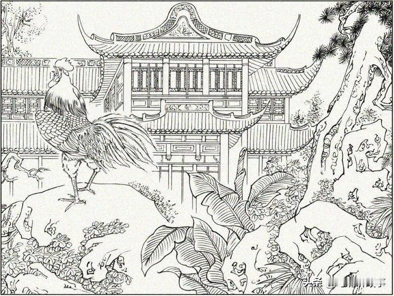据说公鸡真的能生蛋，此事听起来匪夷所思，但是古书里确实有所记载，真有其事。据说公