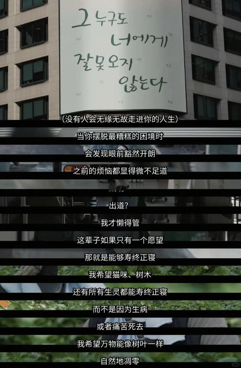 “我希望万物能像树叶一样，自然凋零”/ 努力克服自卑的我们 