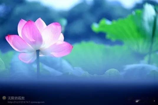 #春风轻拂绿柳岸，你对下联#细雨飘洒湿衣衫
