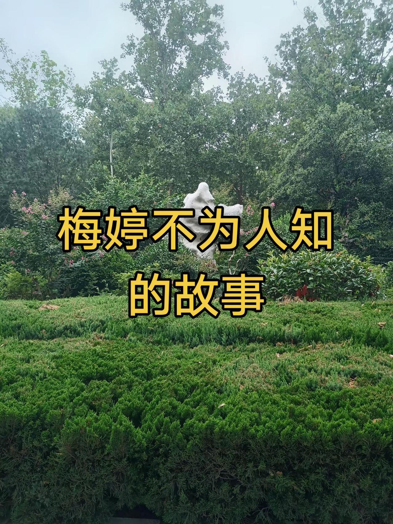 梅婷不为人知的故事明星背后故事