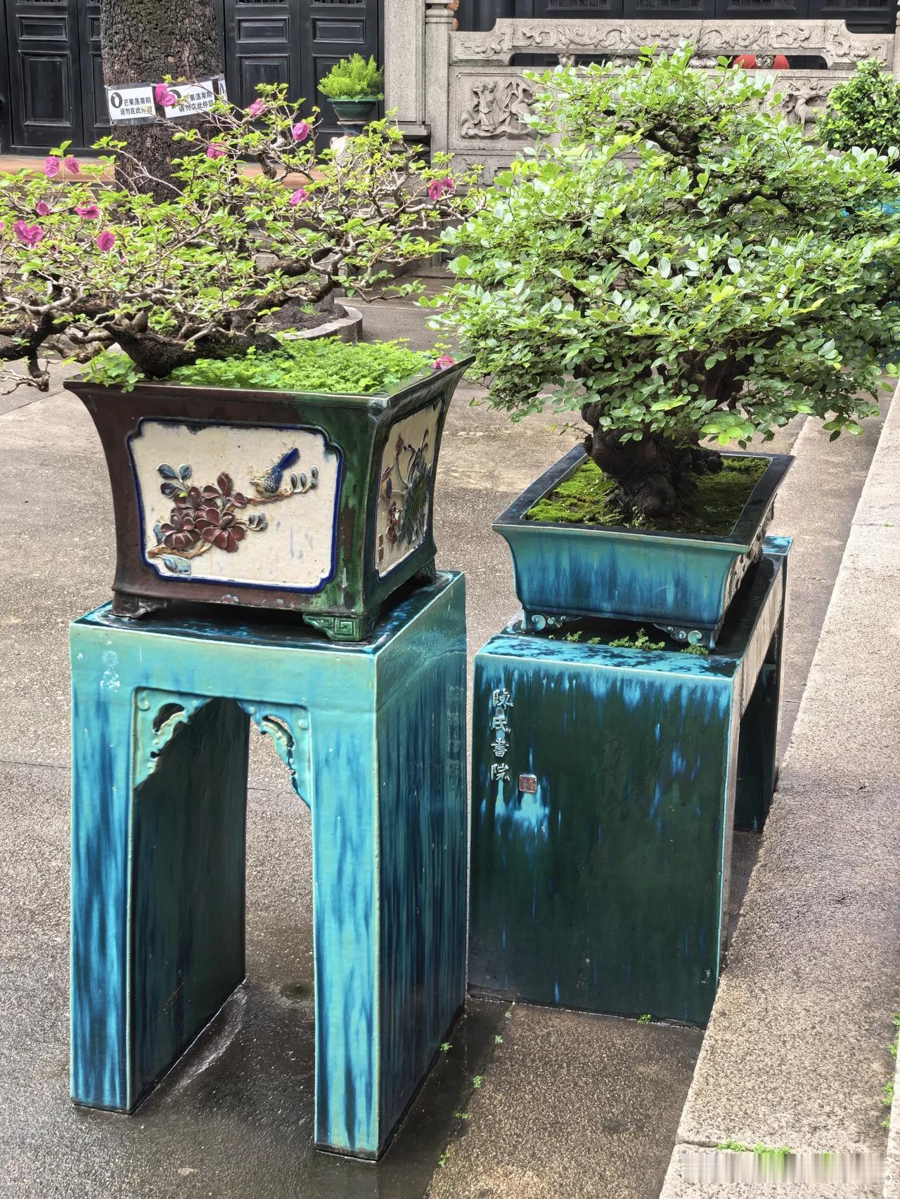 美