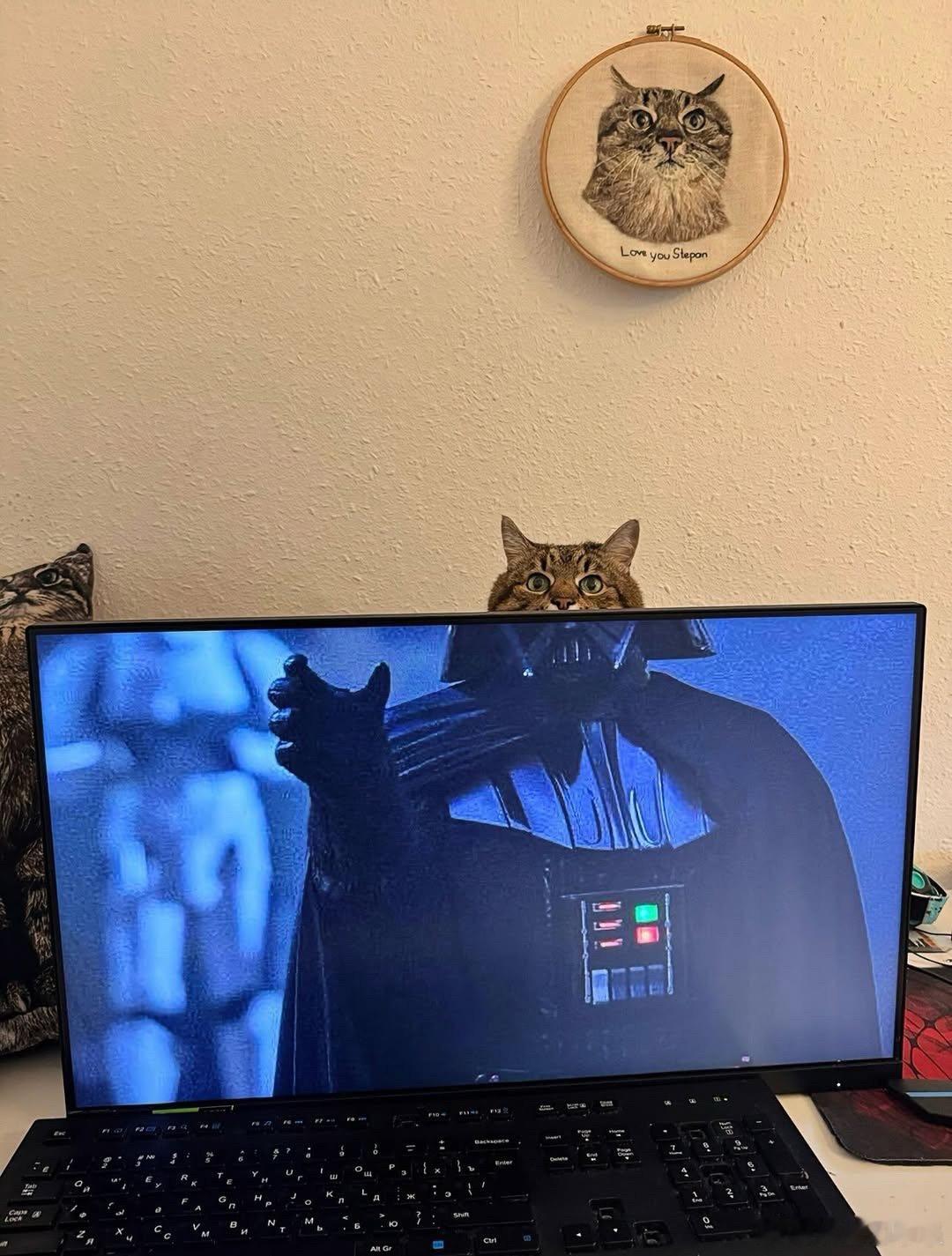 😈cr：stephania_girlcat ​​​