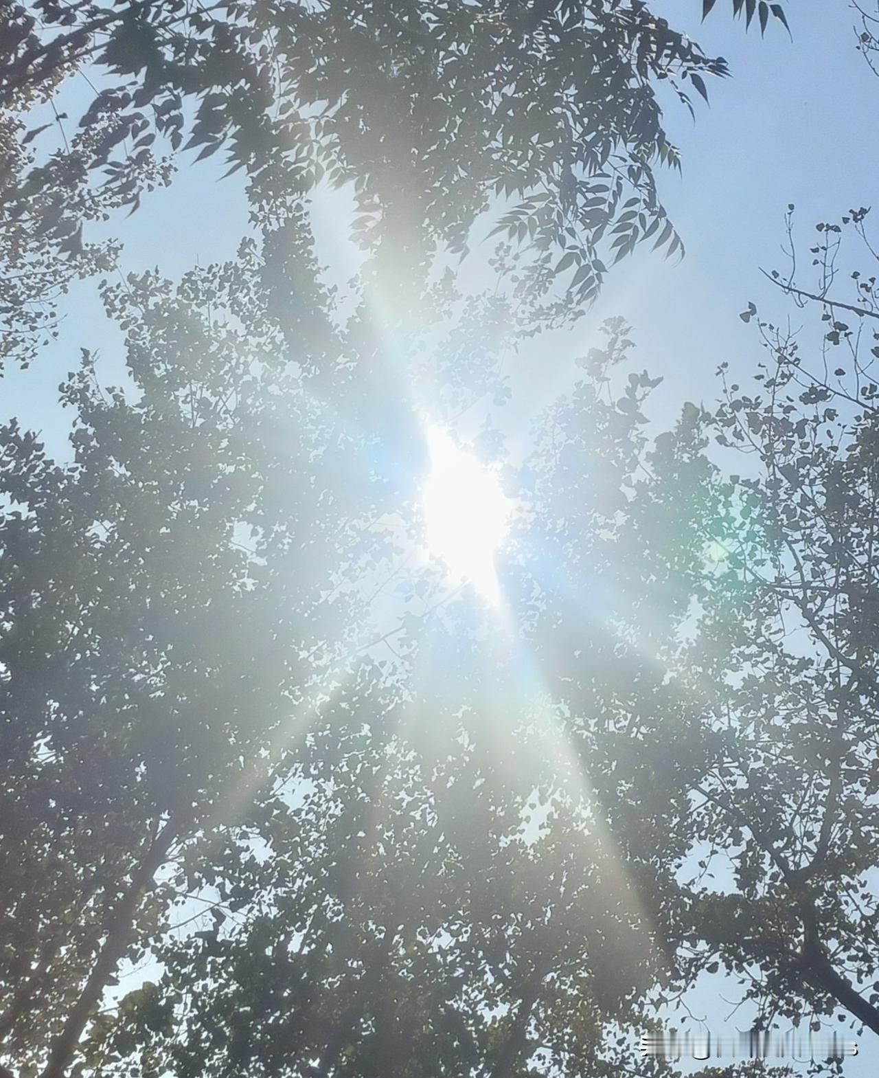 醉汉“神力”推倒围墙？真相来了，工具才是关键！
不过拘留5日代价承受不起


