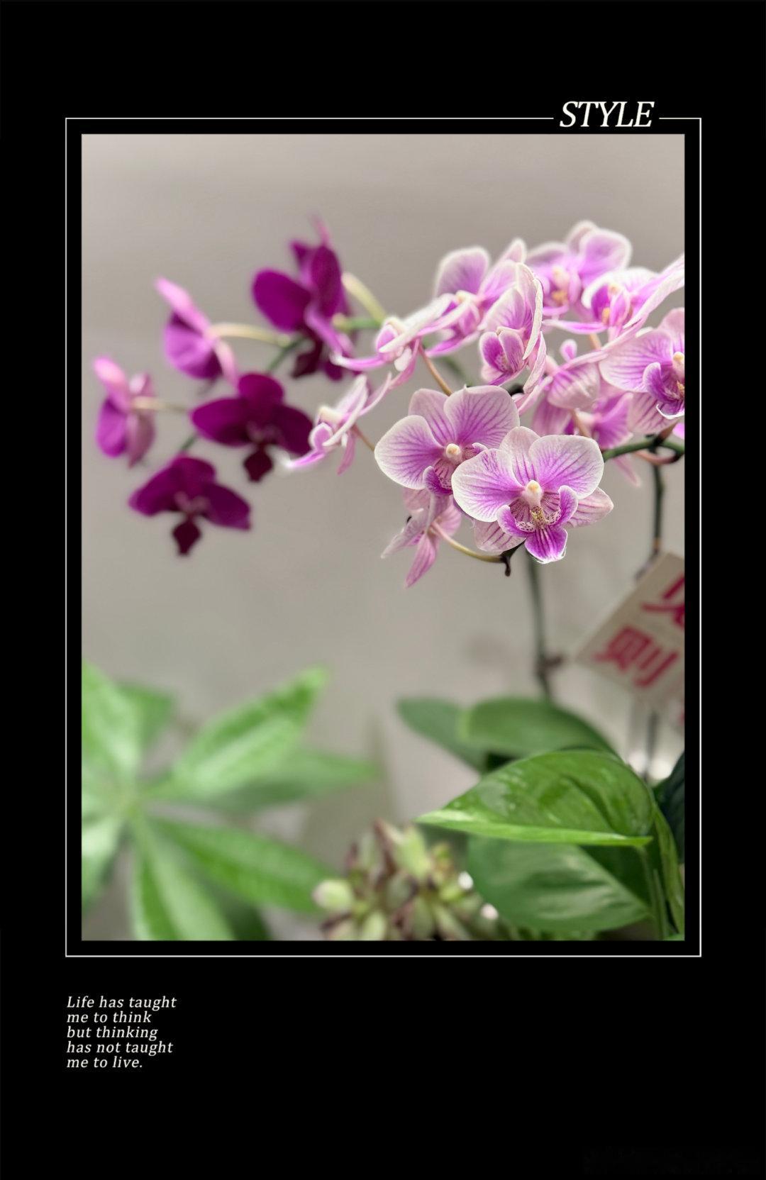 晚安 