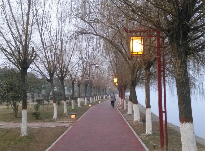 一条白河步道，照见 “放管服” 不能止于答复

一条白河两岸的步道，承载着南阳百