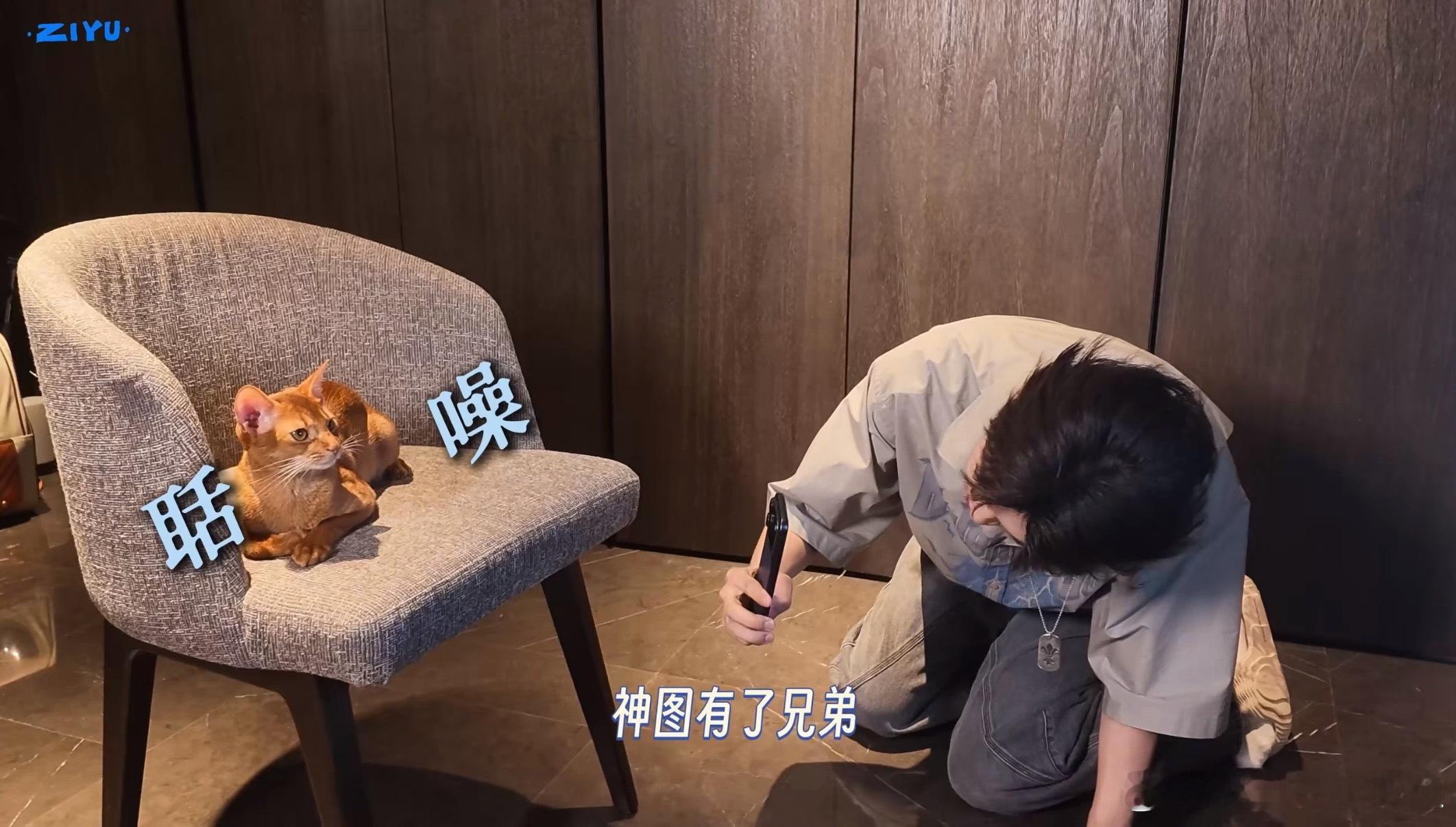 神图有了兄弟 