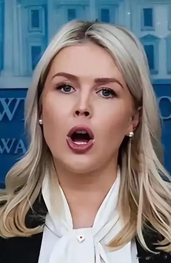 又怀上了。白宫美女发言人莱维特周五大大方方表示：已怀有二胎，将于不久暂别发言人位