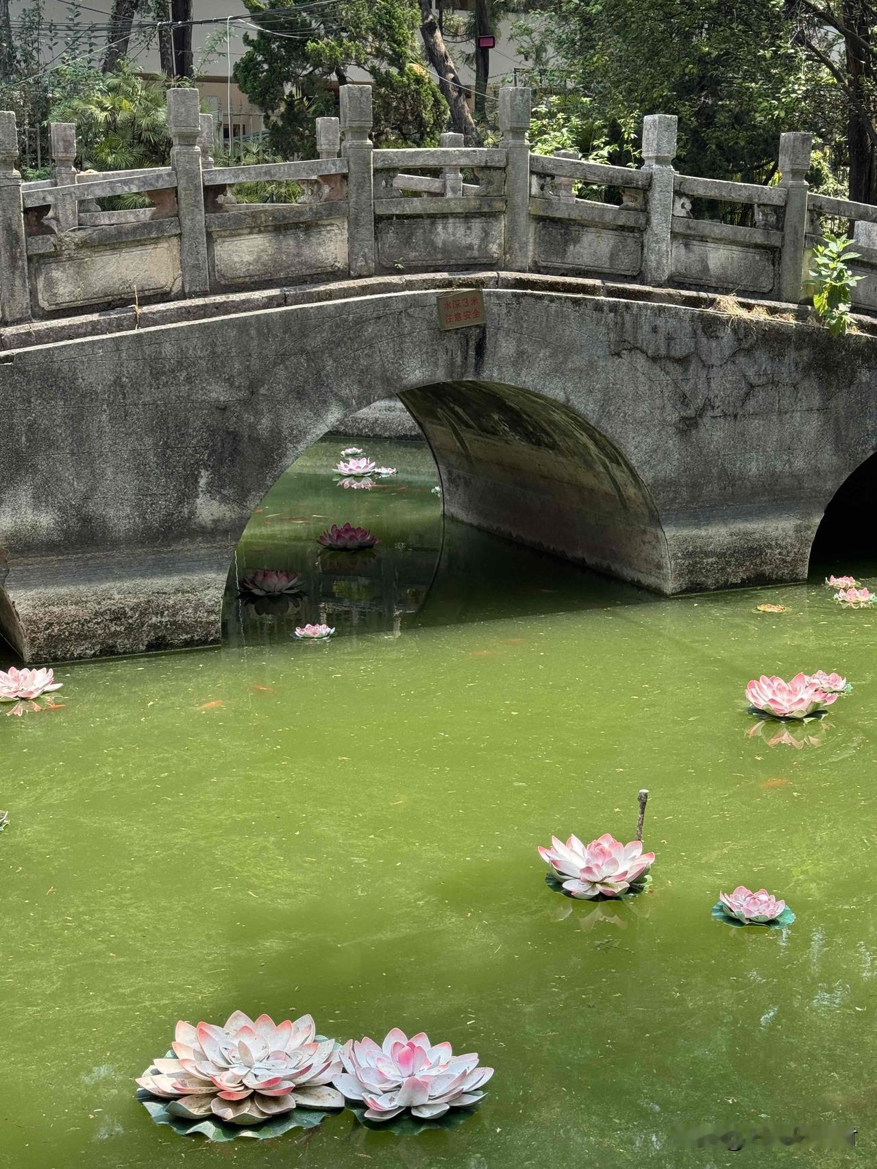 一位医生的台词：“得恶性肿瘤的人，都有一个人在身边折磨你。这个人可能是你的父母，