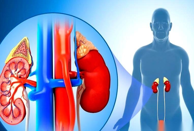 体检报告上，要是出现这俩玩意儿，你可千万别再傻乎乎地以为自己只是“累了”。
一个