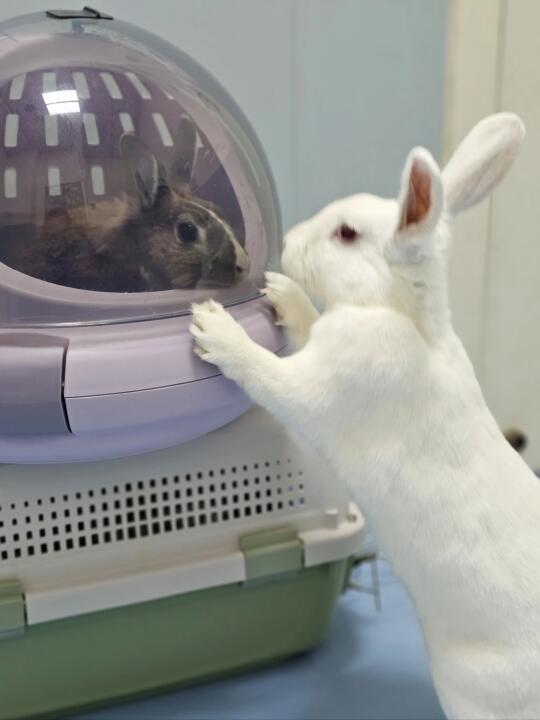 上周末去体检啦