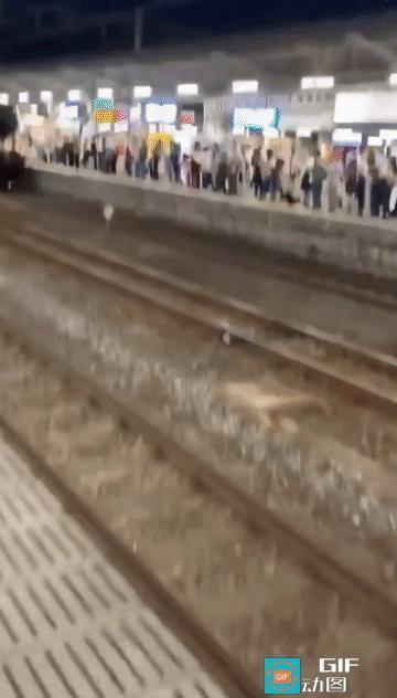 刷到一个视频
在日本工作人员华人博主去加油，190.8日元一升！
网友说日本现在