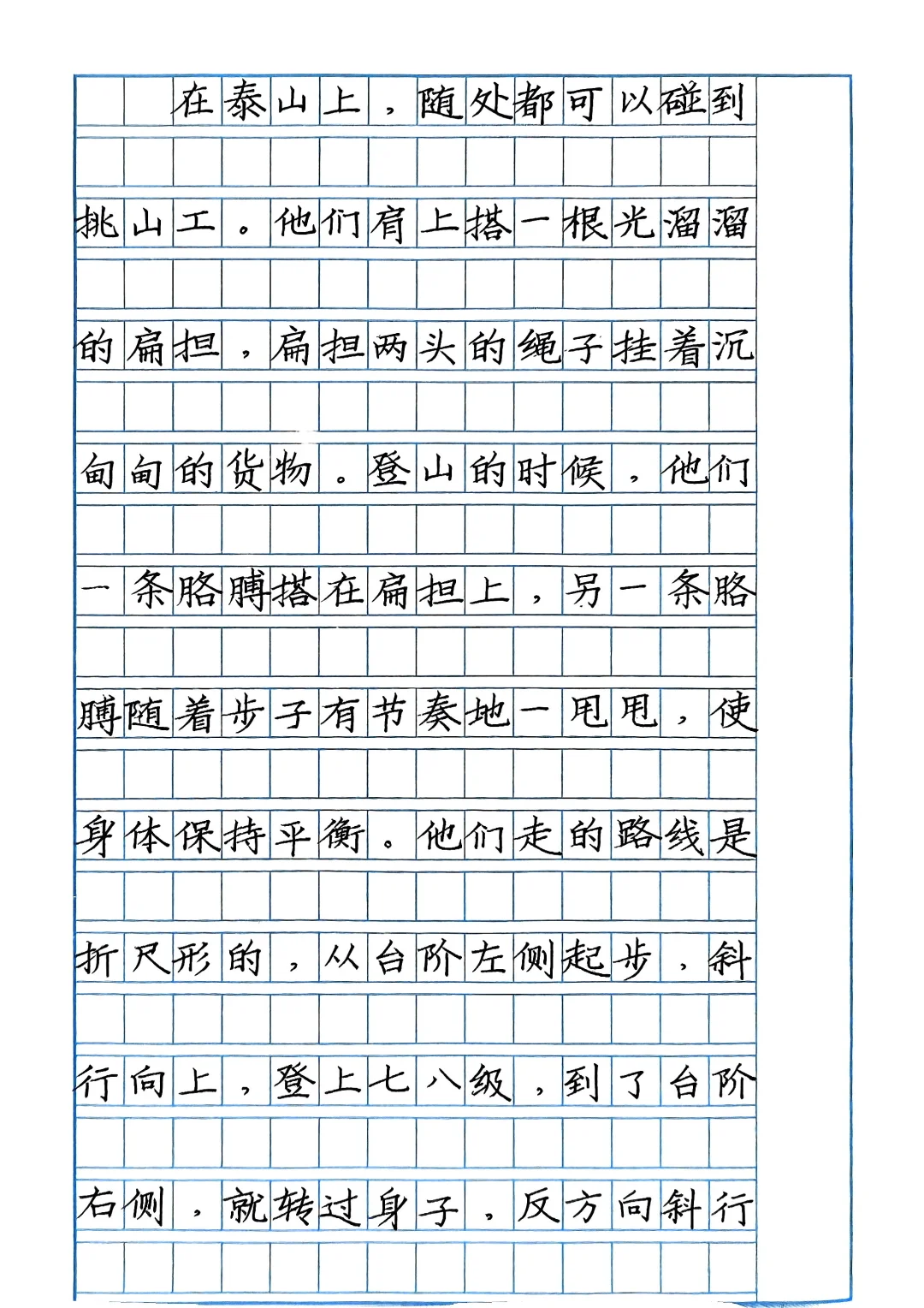 作文格就是这样训练的