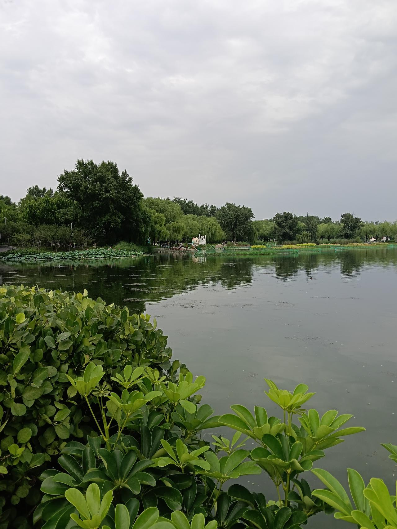 非常好，也不费什么劲，可以一试