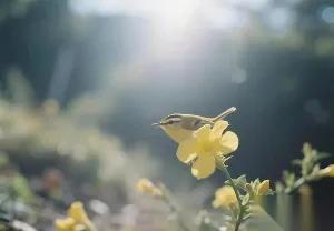 快40岁存款20万算少吗？

省吃俭用小半辈子就这点积蓄

我和老公年入12万，