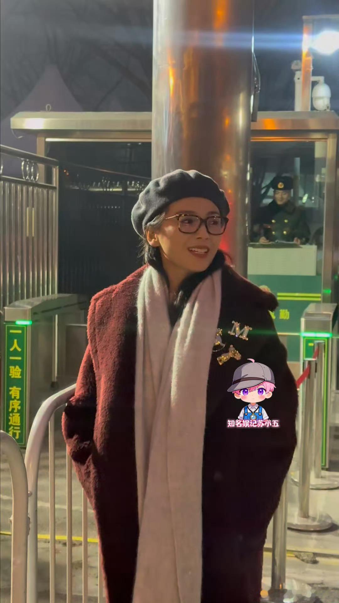 好喜欢戴眼镜的刘涛