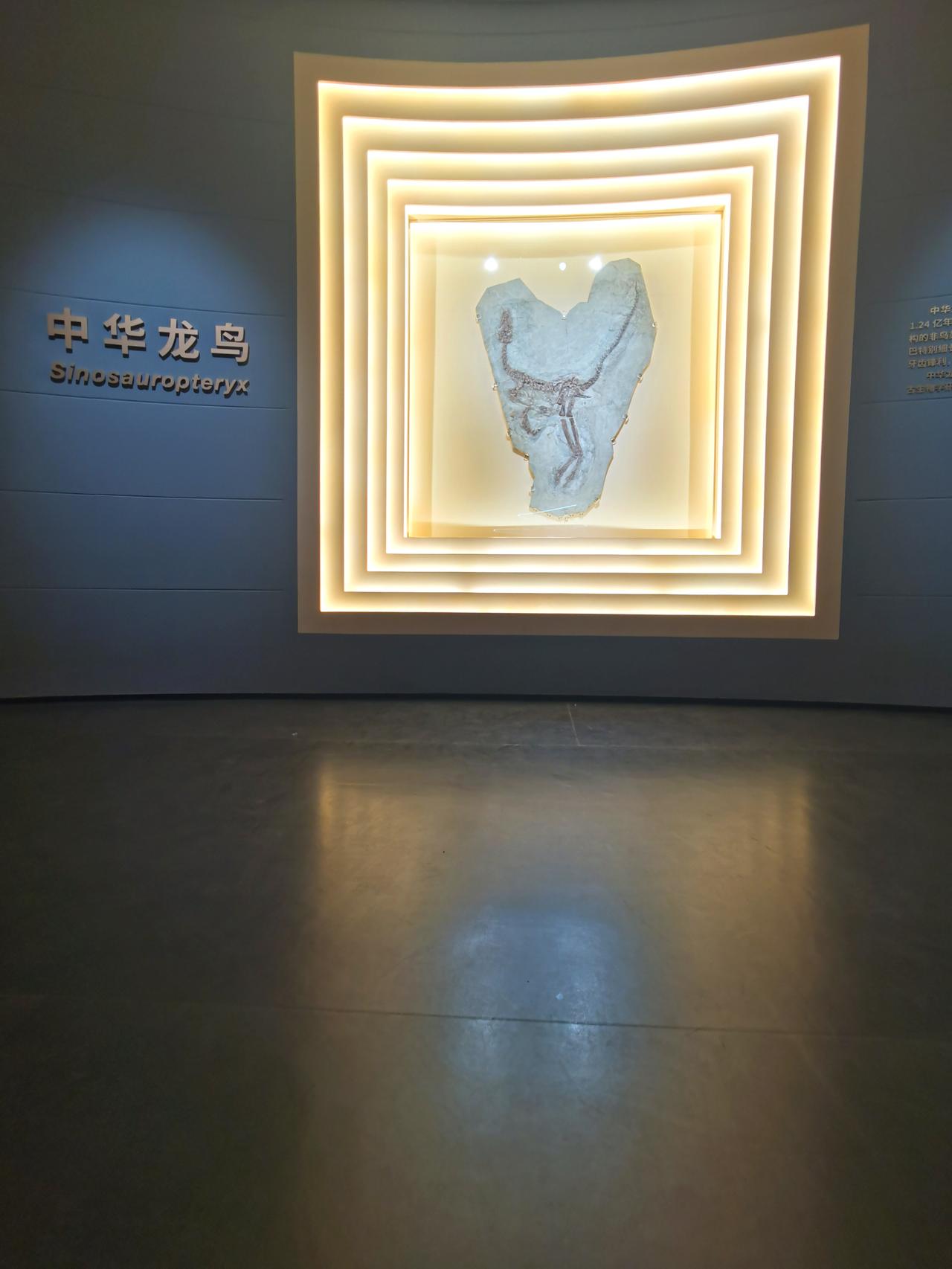 朝阳鸟化石地质公园春节票价85元不便宜，但还是很值得一看的。

因为这里是世界上