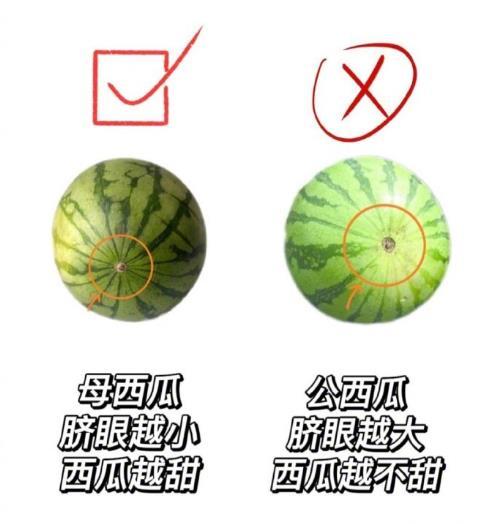 这样挑西瓜想不甜都难，我不允许还有人不会挑西瓜！！我的宝藏食谱