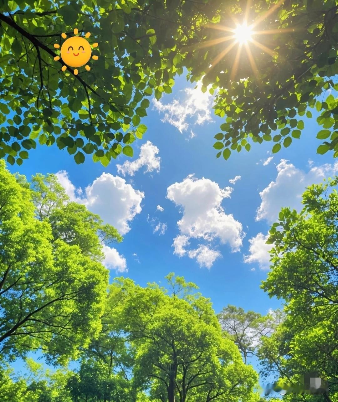 提醒！7月25日
正式进入中伏，40天
长三伏来袭，防暑别踩误区…
 
通知通知