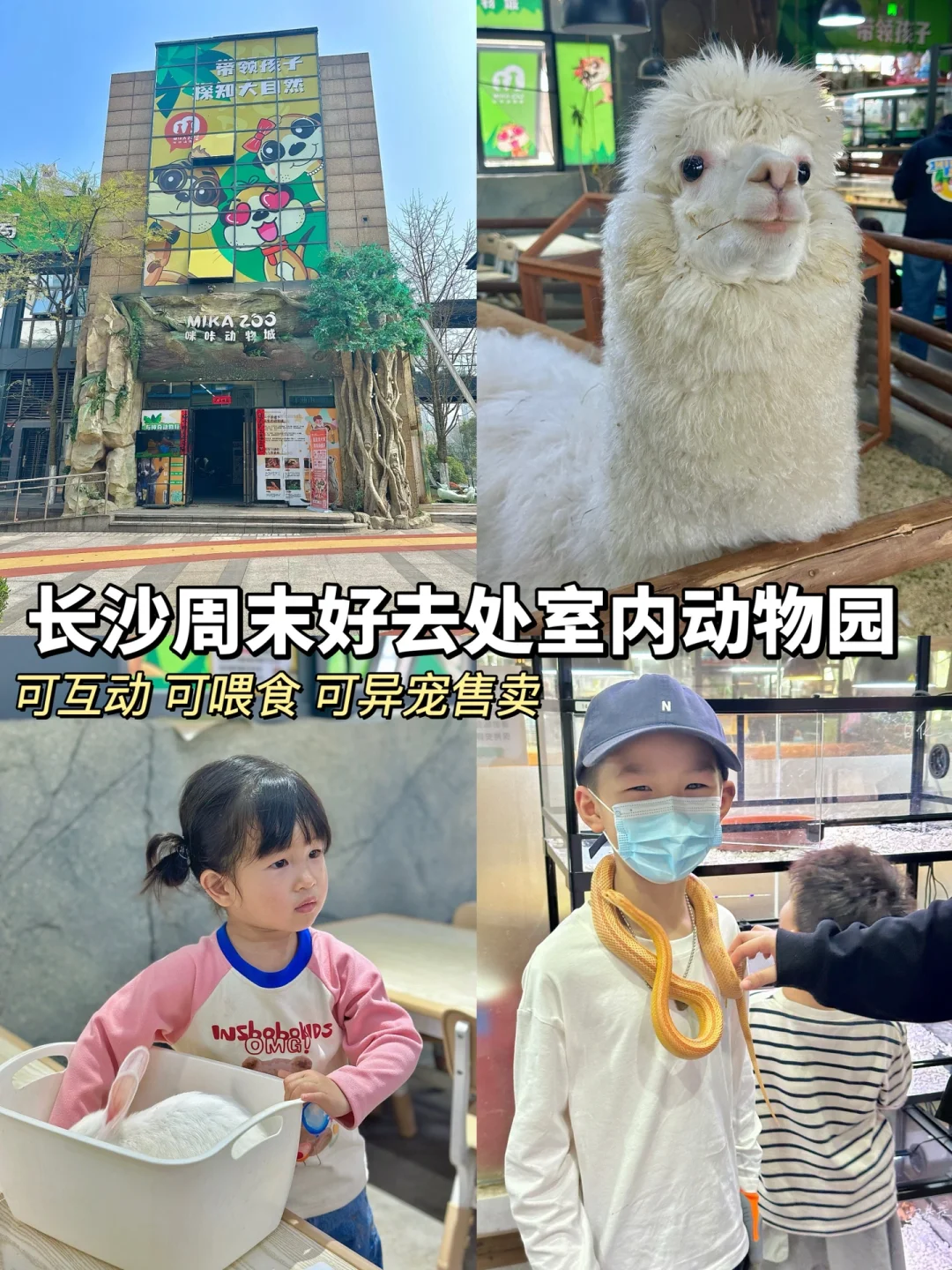 长沙遛娃好去处 室内动物园🐍🐀🦜🦙