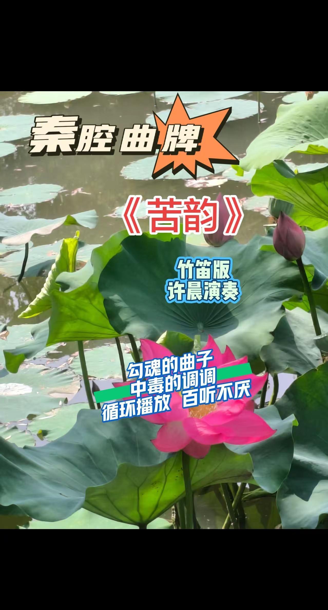 这声音是刻在陇原大地的深厚情谊，这声音是响彻三秦大地的浑厚乡音，黄土高坡的风吹遍