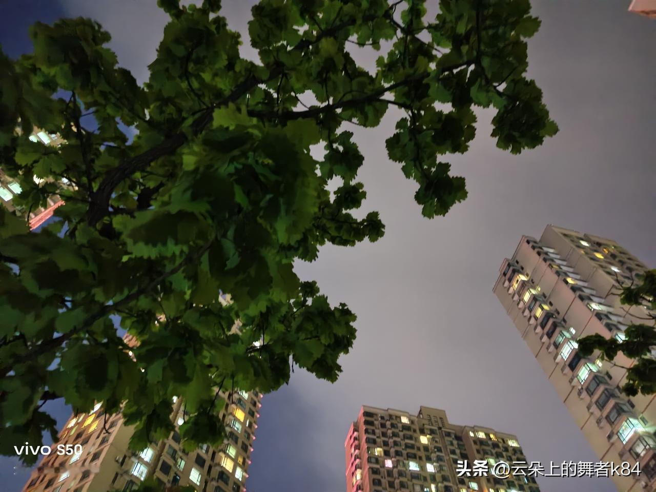 分享你随手拍的风景寂静的夜空，林立的高楼，万家灯火与绿意盎然。