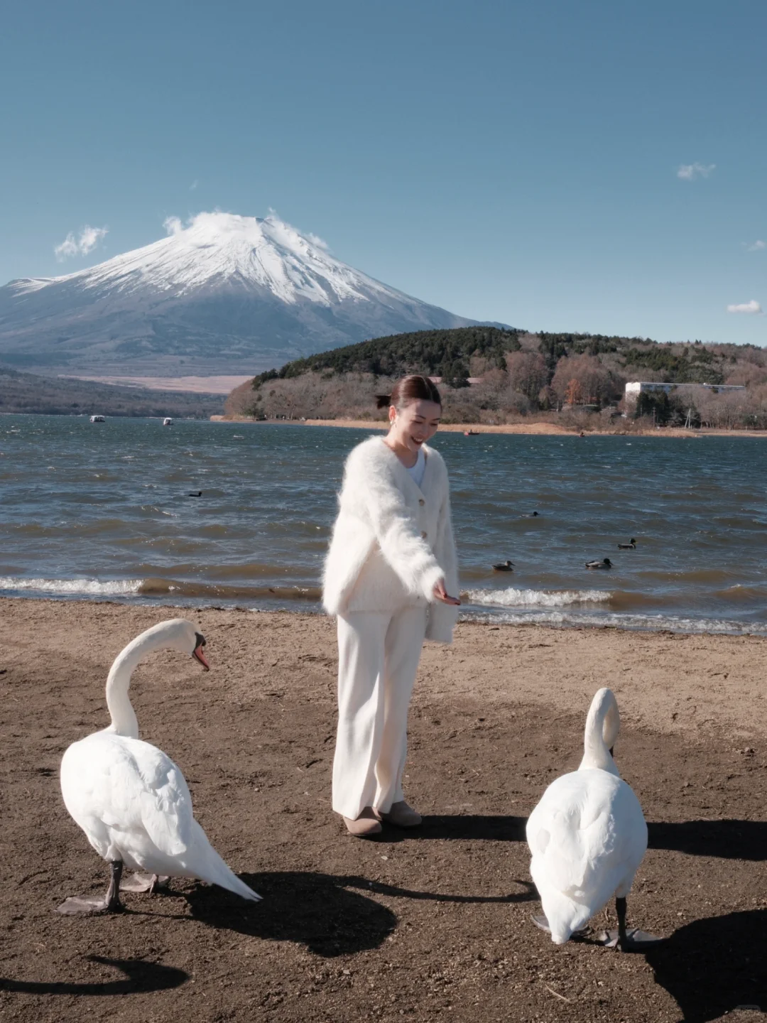 就让时间停在这一刻 ⊹꙳🦢❄️