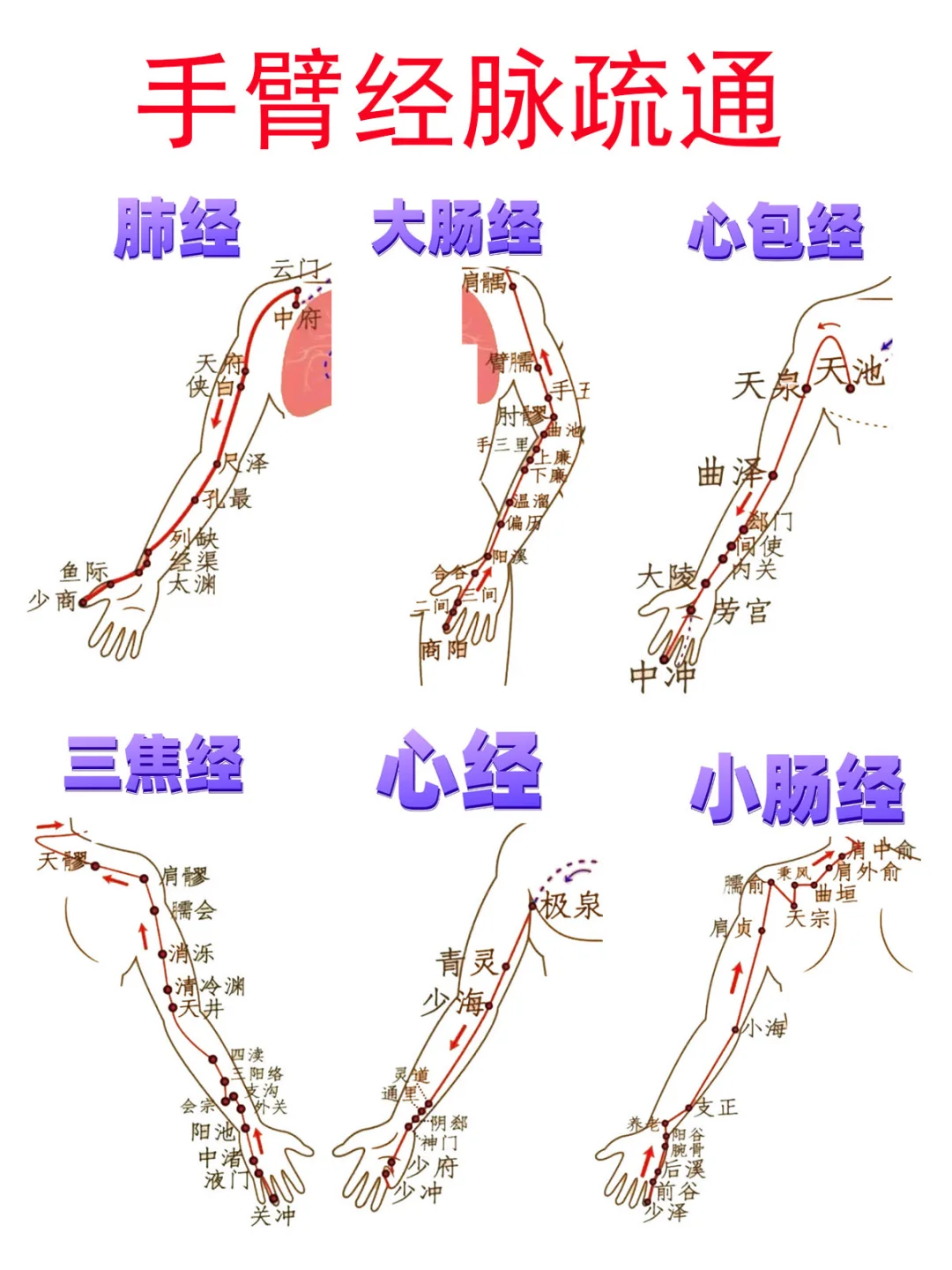 手臂6经脉汇总，淤堵疏通法，穴位及循行示意