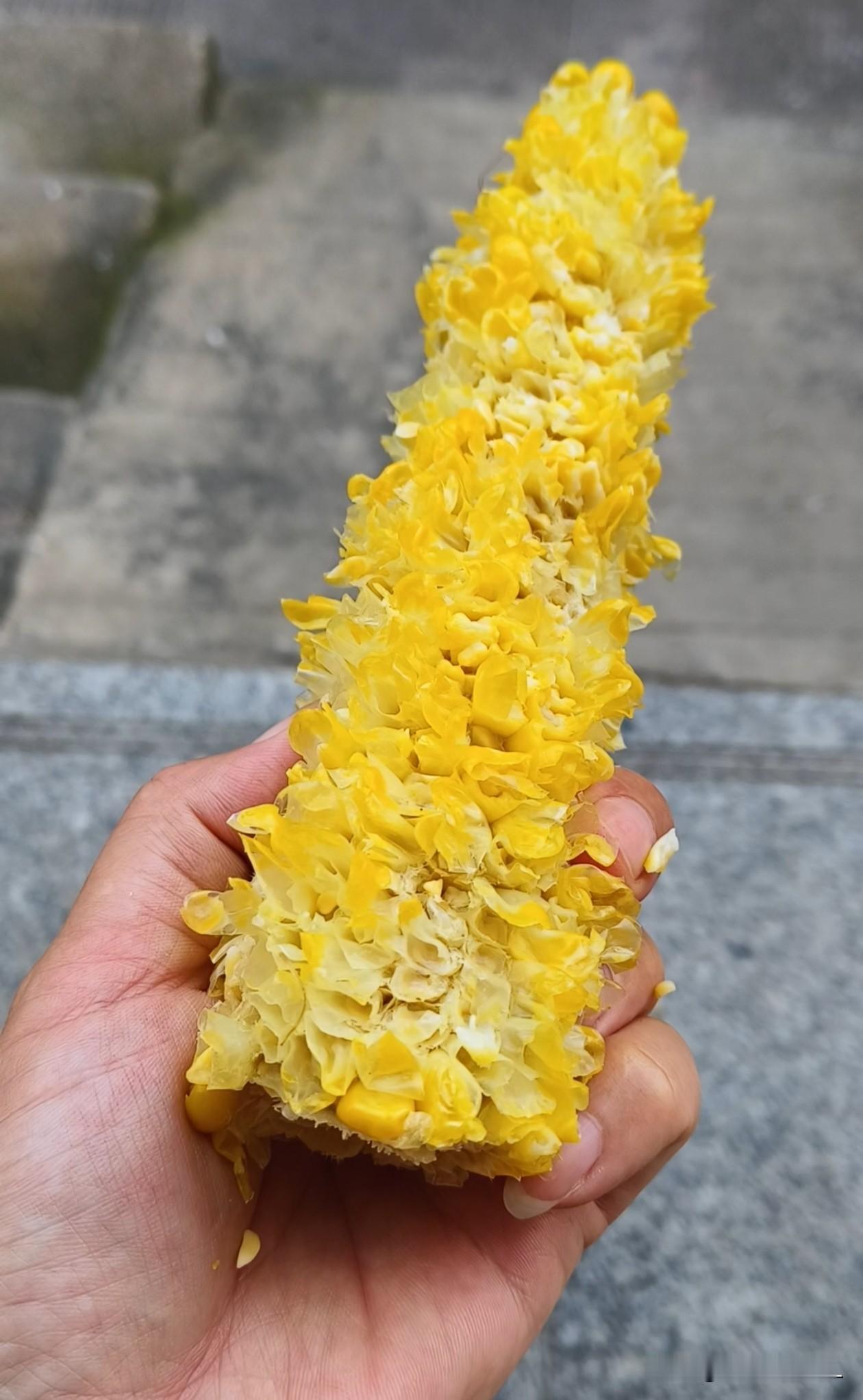 世事许多经验，无需远赴求索，家中长辈，便是最好的生活老师。父亲跟我说，甜玉米煮熟